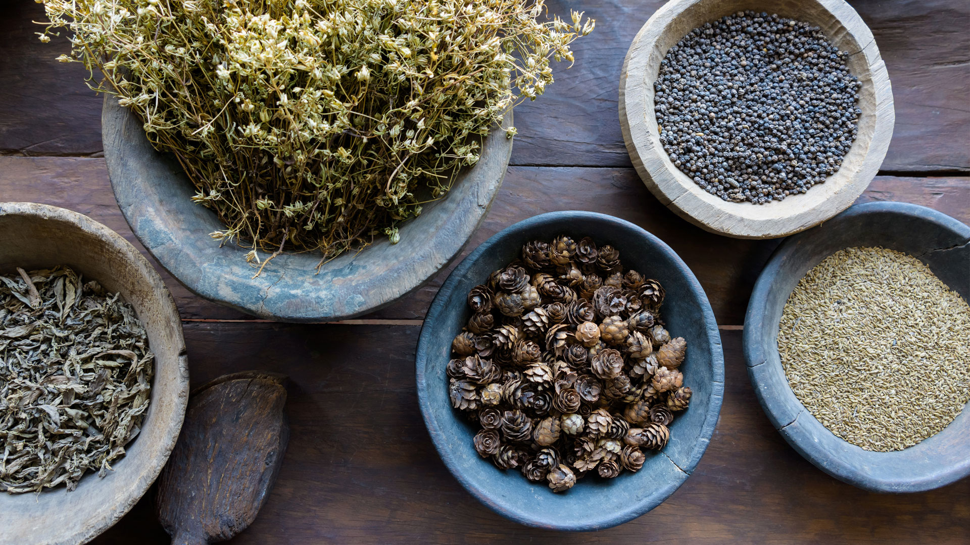 Ayurveda with Matthew Remski