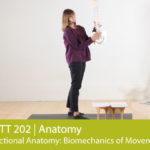 Functional Anatomy