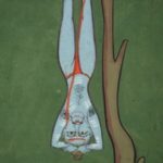 Yoga Philosophy: History and Culture